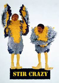 Постер Буйнопомешанные