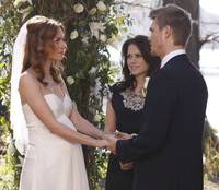 Кадр Холм одного дерева