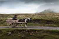 Кадр Зал Джимми