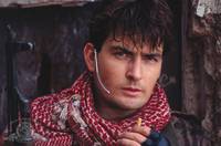 Кадр Морские котики