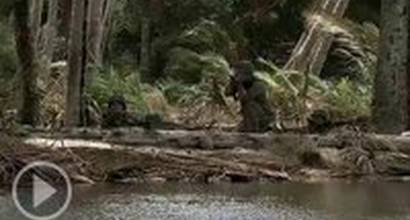 Фрагмент (русский) 