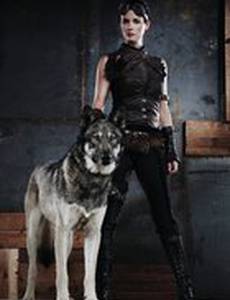 Риз: Падение королевства