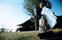 Кадр Аризонская мечта