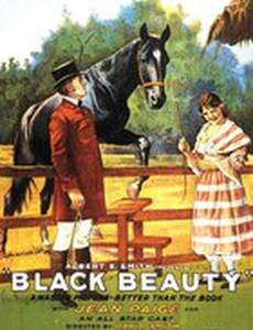 Черная красавица