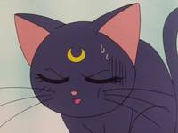 Кадр Красавица-воин Сейлор Мун Супер Эс