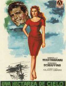 Кусочек неба