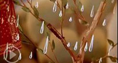 Мультфильм