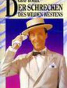 Graf Bobby, der Schrecken des wilden Westens