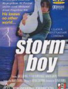 Мальчик и океан