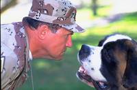 Кадр Бетховен 4 (видео)