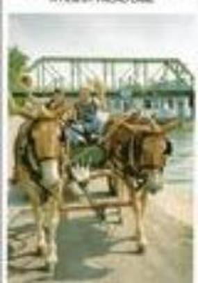 Along the Erie Canal