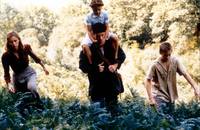 Кадр Заблудившиеся