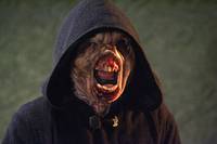 Кадр Гробница