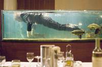 Кадр Официант