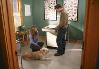 Кадр Анатомия страсти