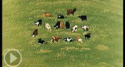 Мультфильм