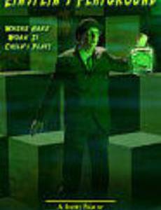 Einstein's Playground