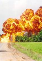 Грег Бленди фото