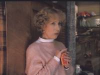 Кадр Год Собаки