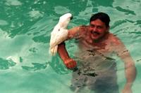 Кадр Американские горки