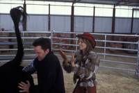 Кадр Мошенники