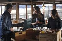 Кадр Тайный круг