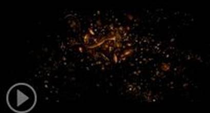 Фрагмент №1