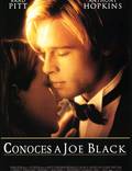 Постер из фильма "Знакомьтесь, Джо Блэк" - 1