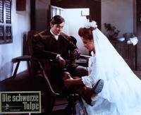 Кадр Черный тюльпан