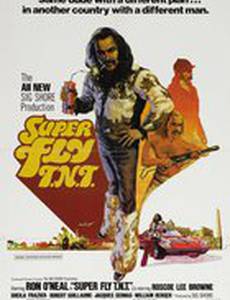 Возвращение Суперфлая