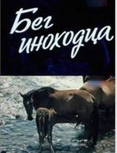 Бег иноходца