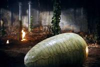 Кадр Кольцо дракона