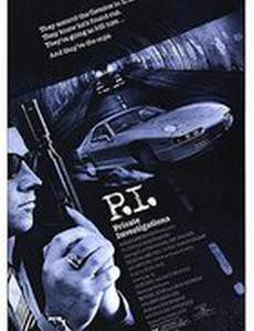 Частные расследования