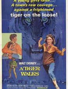 Прогулка с тиграми