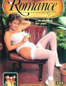 Маленький роман