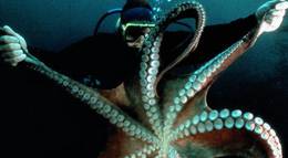 Кадр из фильма "Атлантис" - 1