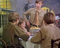 Кадр Красные пчелы