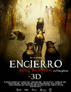 Encierro 3D: Bull Running in Pamplona