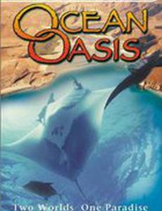 Ocean Oasis