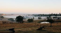 Кадр из фильма "Дерево" - 2