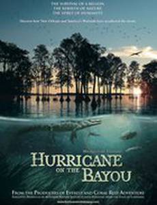 Ураган на Байу