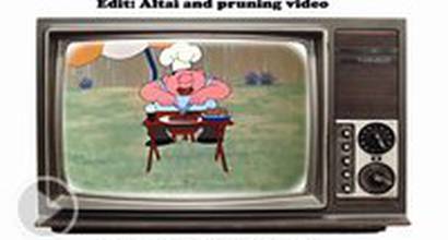 Мультфильм