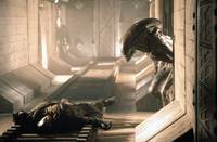 Кадр Чужой 3