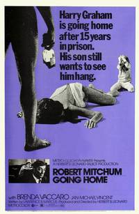 Постер Иди домой