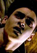 Крис Шепардсон фото