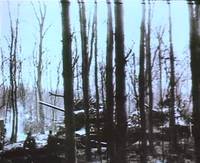 Кадр Великий полководец Георгий Жуков