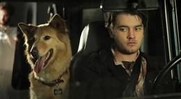 Кадр из фильма "В финале Джон умрет" - 1