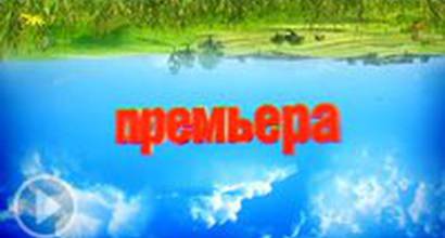 ТВ-ролик №8