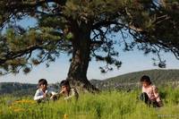 Кадр Кочочи