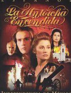 Зажженый факел